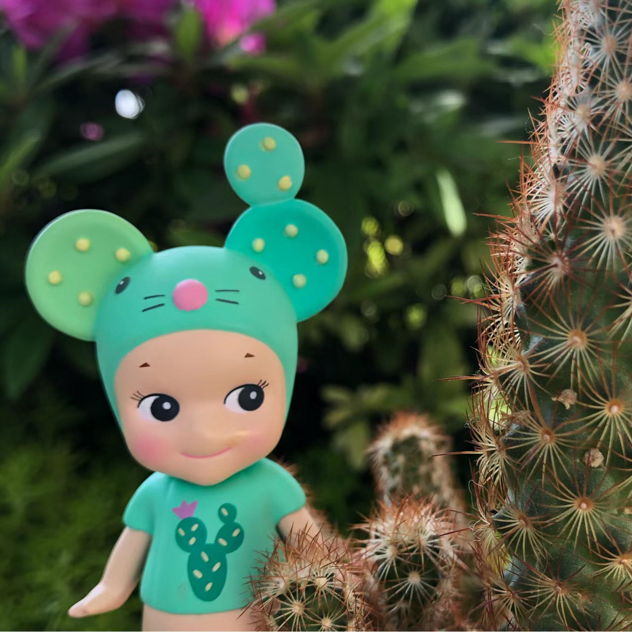Cactus Series & Special Color- 2020