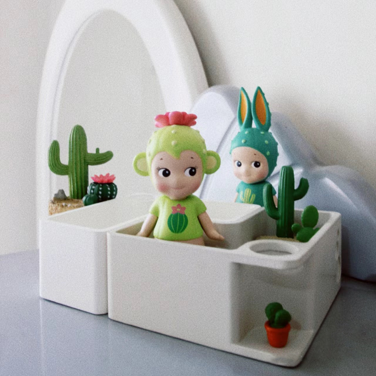 Cactus Series & Special Color- 2020