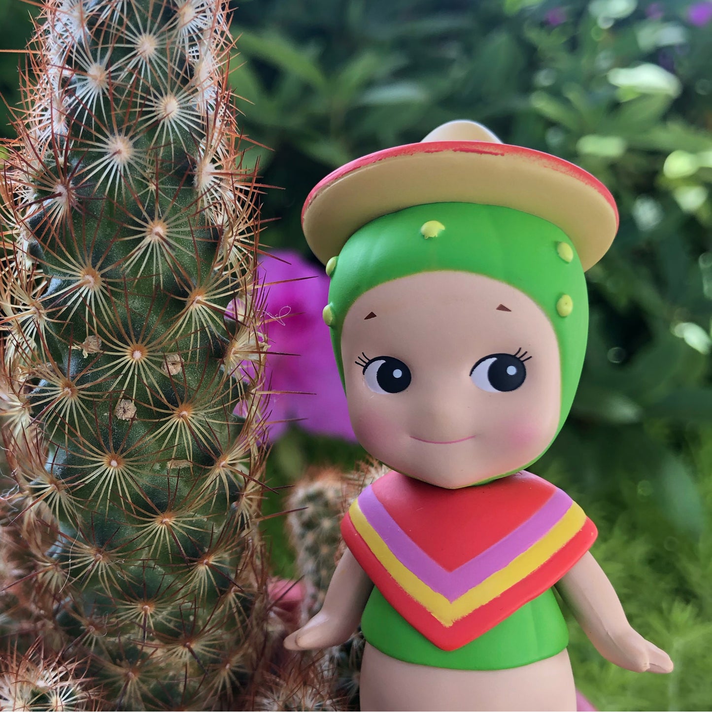 Cactus Series & Special Color- 2020