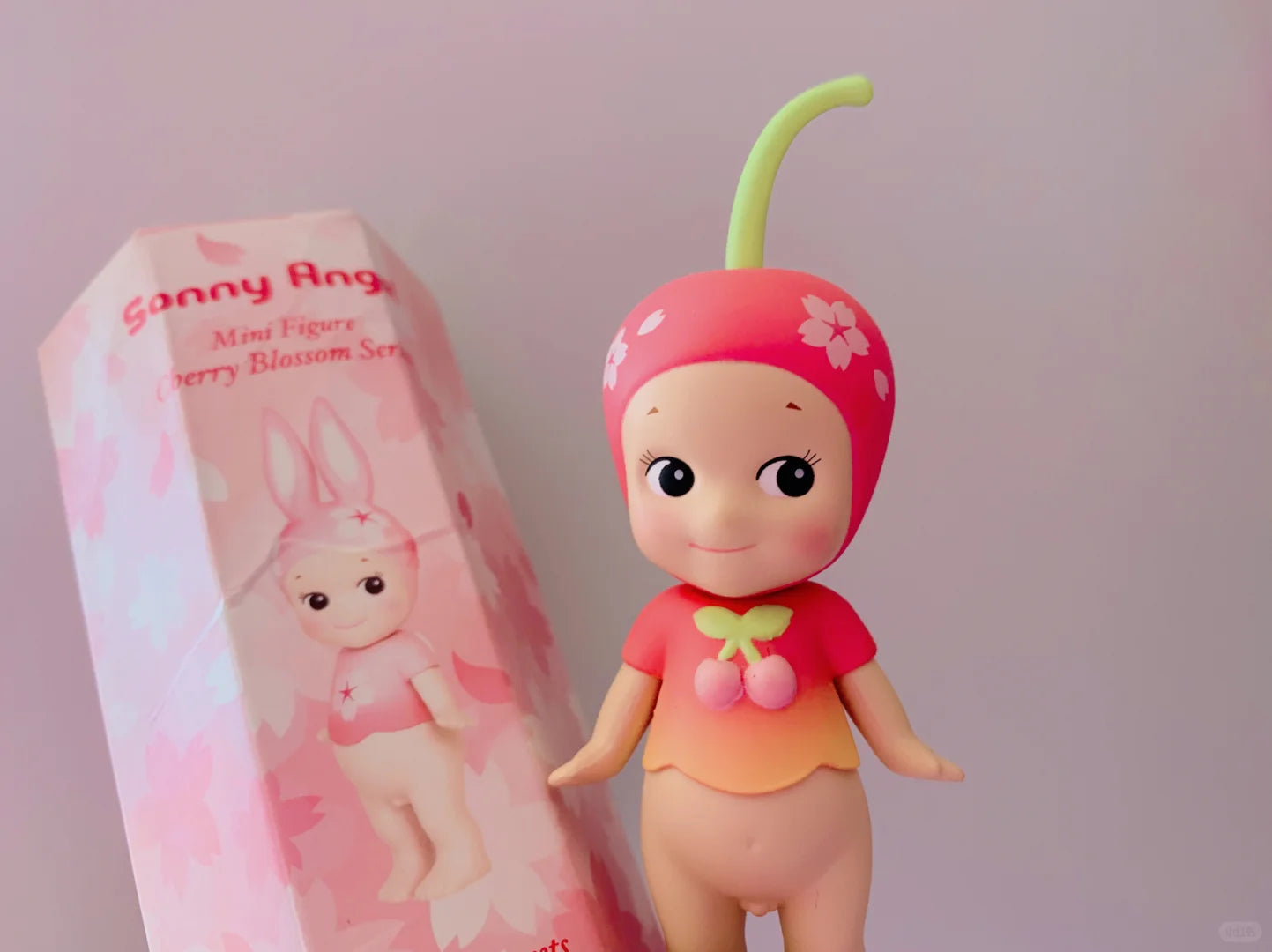 cherry blossom series - 2019