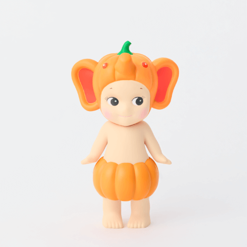 Pumpkin Patch Series